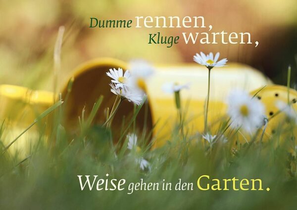 Im Garten