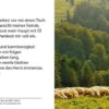 Bibelspruchkarte: Psalm 23 / neu