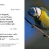 Bibelspruchkarte: Ich danke dir... Ps. 139,4
