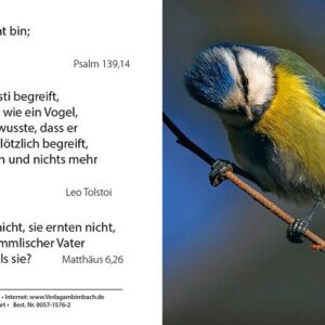 Bibelspruchkarte: Ich danke dir... Ps. 139,4