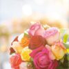 Textkarte B6 :  Rosen mit Kuvert