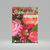 Segenspost zum Geburtstag / Edition 2022 - 10-er Set