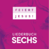 Liederbuch : Feiert Jesus! 6 - Paperback