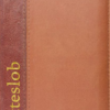 Gotteslob - Ausgabe S (Pocket-Ausgabe)