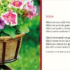 Textkarte B6 :  Schmetterling mit Kuvert