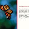 Textkarte B6 :  Schmetterling mit Kuvert