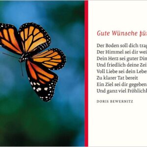 Textkarte B6 :  Schmetterling mit Kuvert