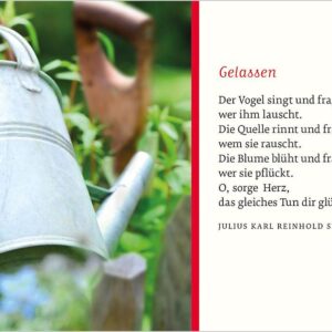 Textkarte B6 :  Im Blumengarten mit Kuvert