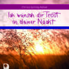 Ich wünsch dir Trost in deiner Nacht