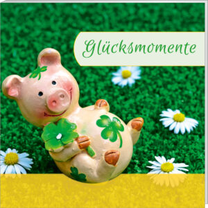 Glücksmomente - kartoniert