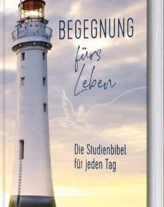Begegnung fürs Leben, Motiv - Leuchtturm