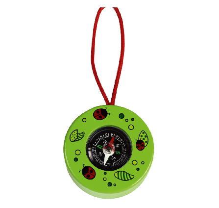 Kompass grün
