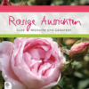 Rosige Aussichten