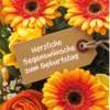 Herzliche Segenswünsche zum Geburtstag