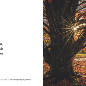 Herbstbaum
