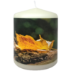Stumpenkerze Herbstblatt